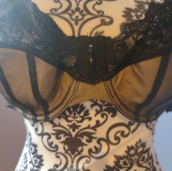 2 piece Bustier/Bra Set - Picture 7 of 11